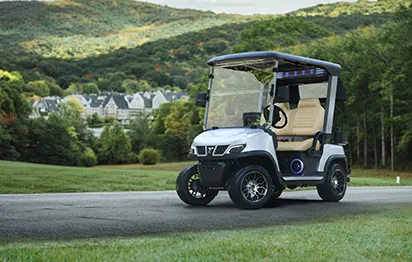 A Complete Guide to Buying an Electric Golf Cart